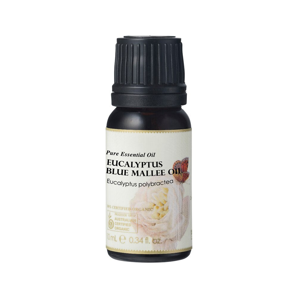 Ausganica Org Essential Oil Eucalyptus Blue Mallee 10ml