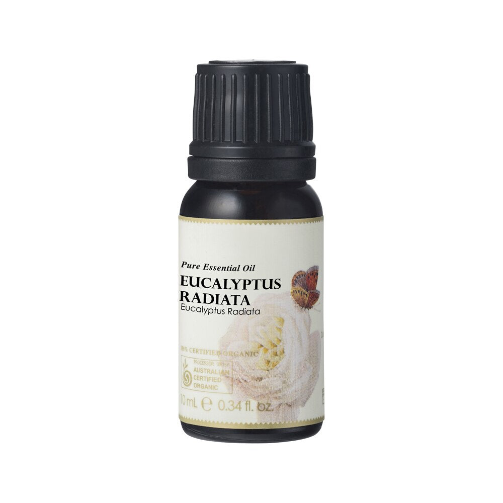Ausganica Org Essential Oil Eucalyptus Radiata 10ml