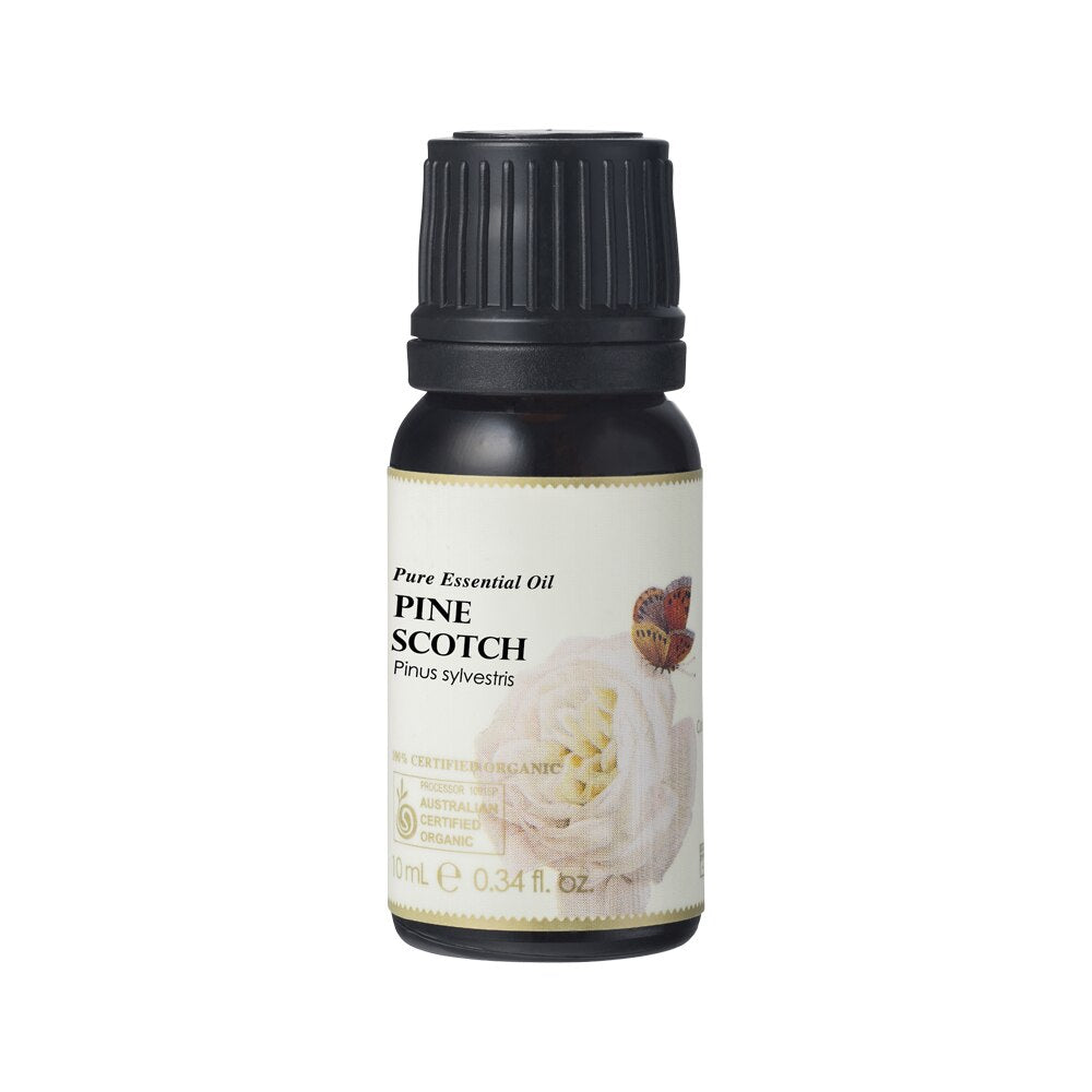Ausganica Org Essential Oil Pine Scotch 10ml
