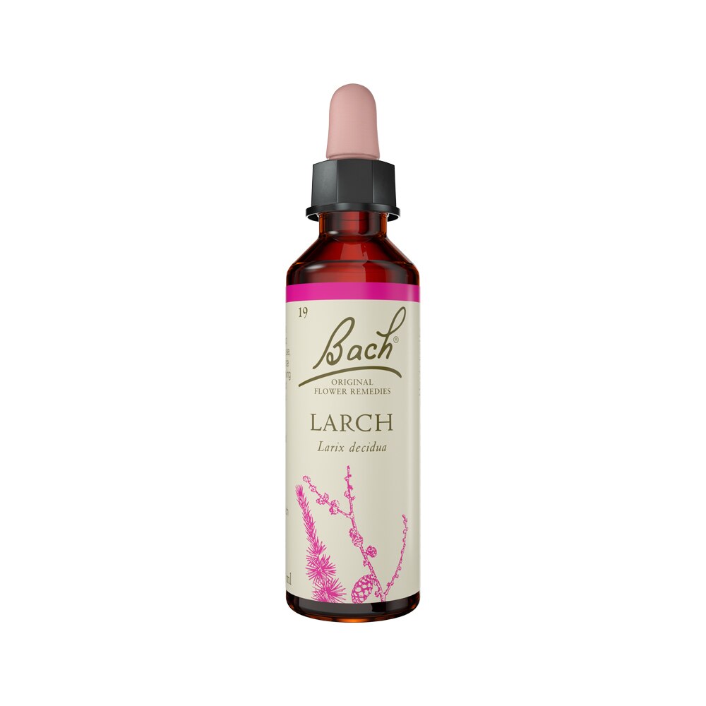 Bach Flower Remedies Larch 20ml