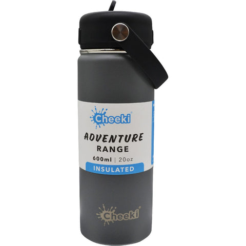 Stainless Steel Bottle Adventure Insulated Slate 600ml