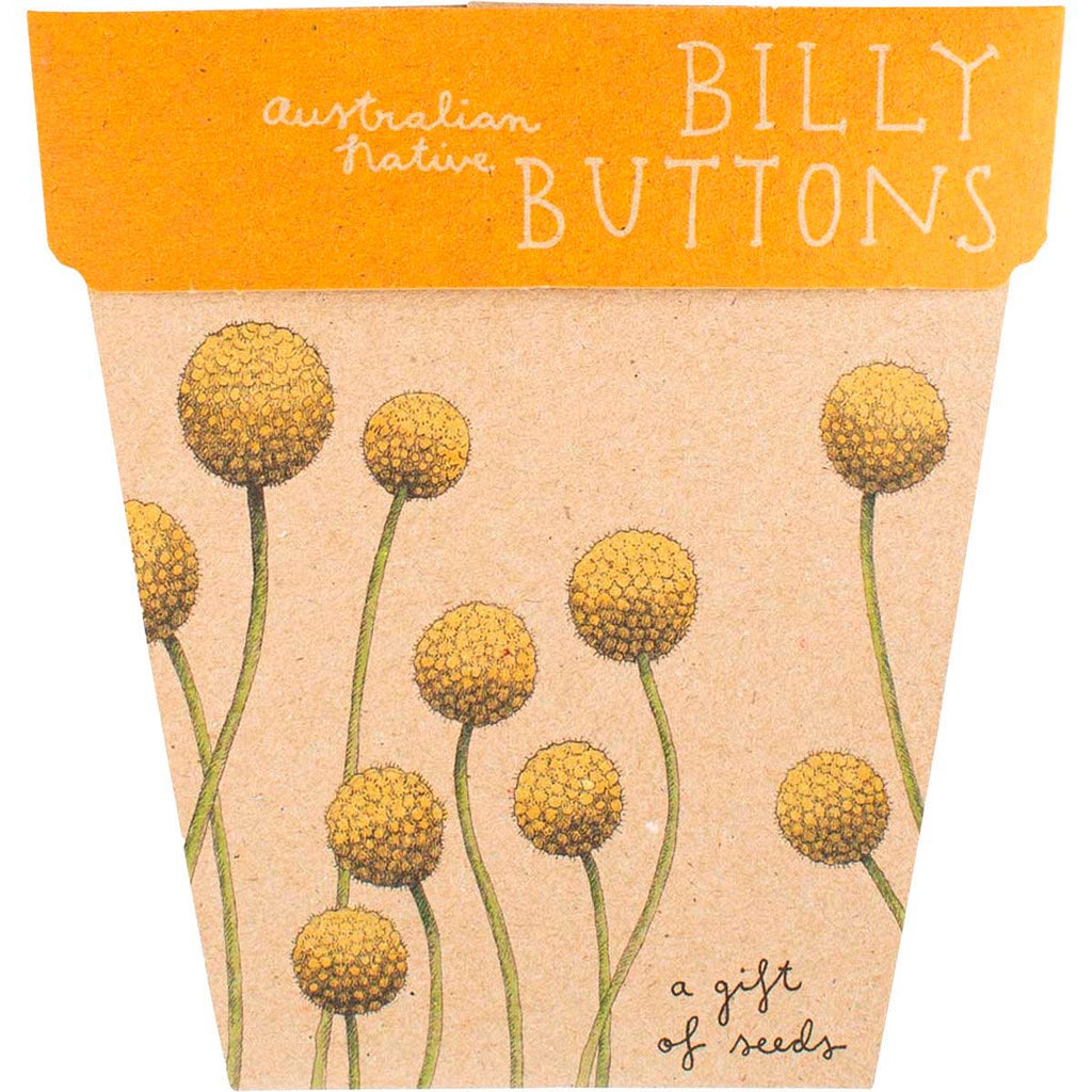 Gift of Seeds Billy Buttons