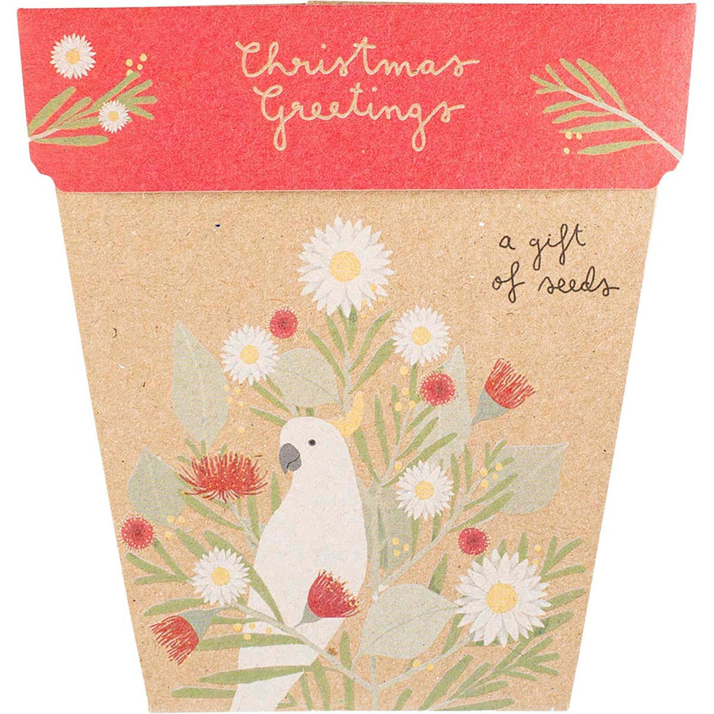 Gift of Seeds Christmas Greetings