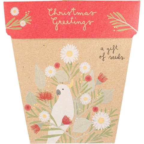 Gift of Seeds Christmas Greetings