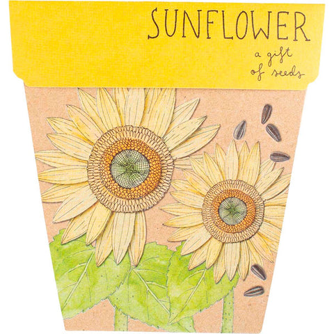 Gift of Seeds Sunflower