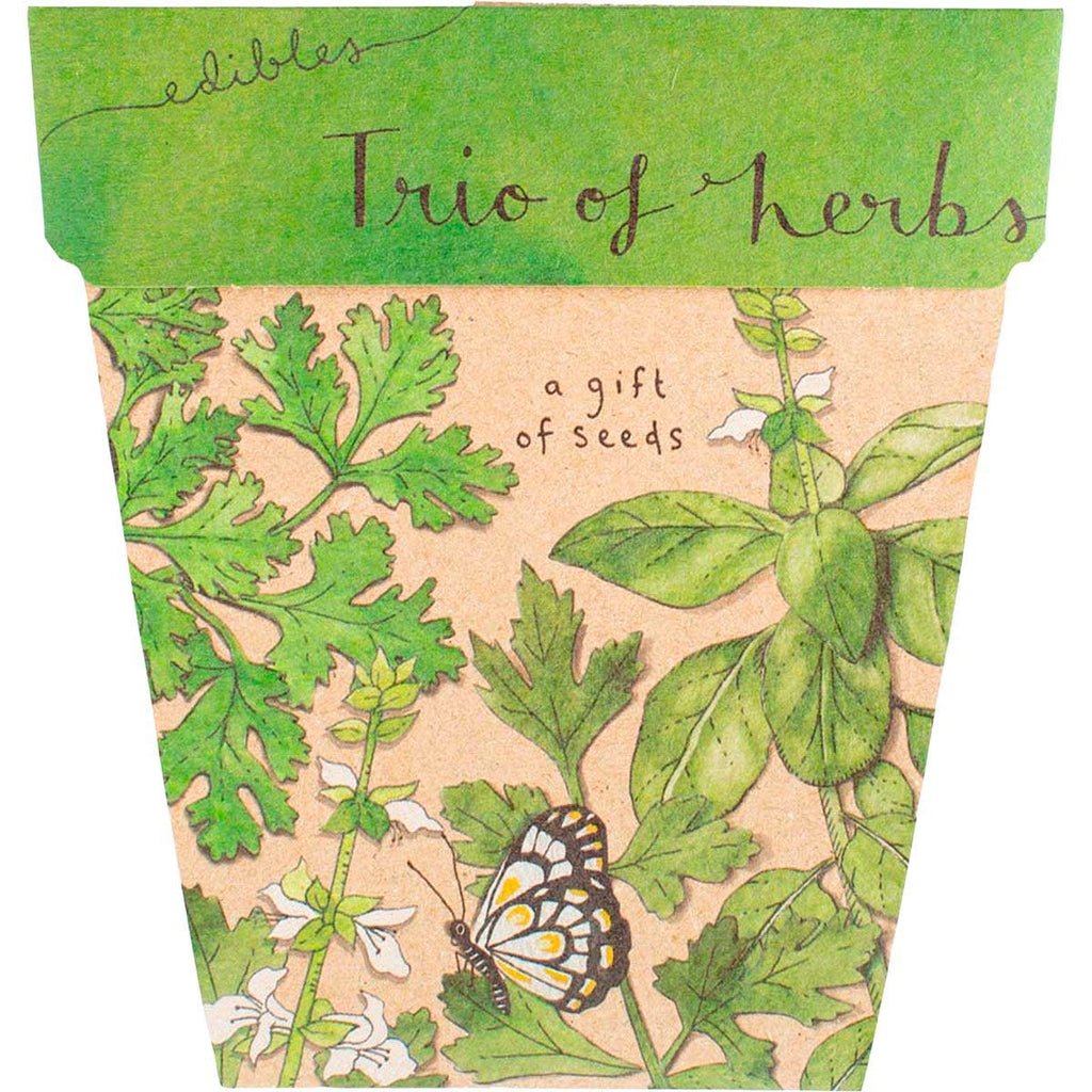 Gift of Seeds Trio of Herbs