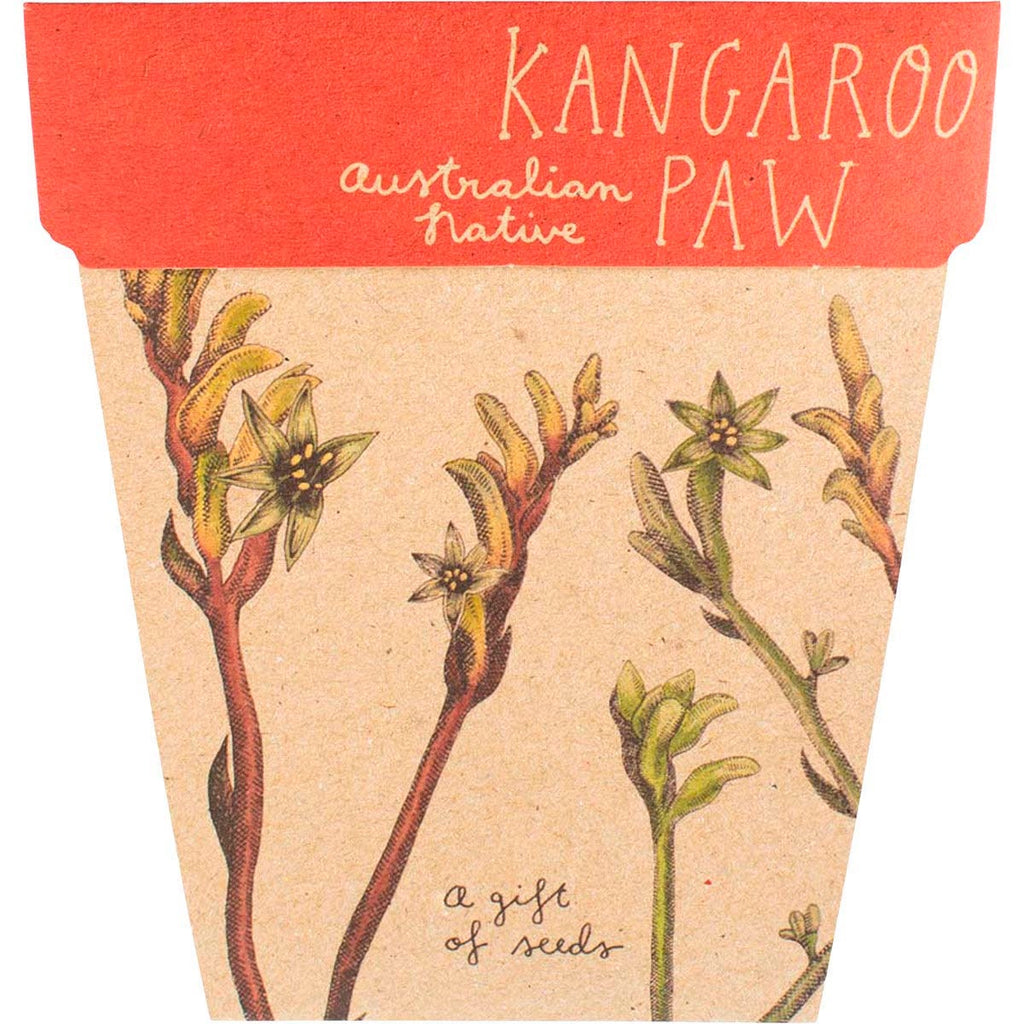 Gift of Seeds Kangaroo Paw