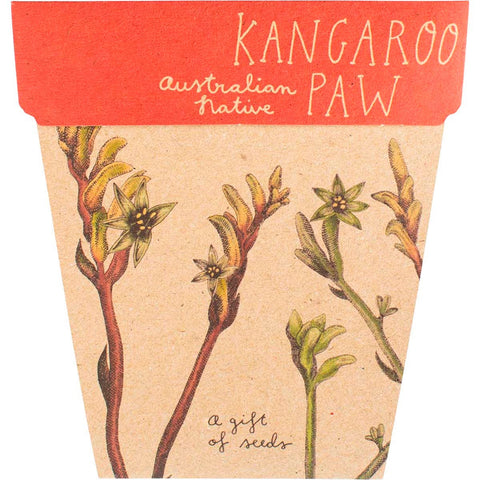 Gift of Seeds Kangaroo Paw