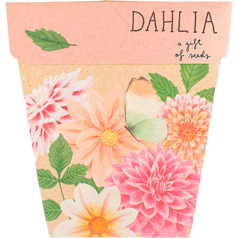 Gift of Seeds Dahlia