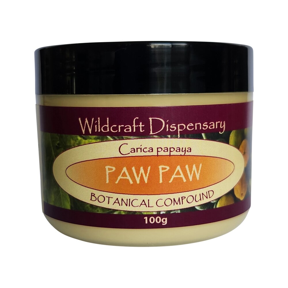 Wildcraft Dispensary Ointment Paw Paw 100g