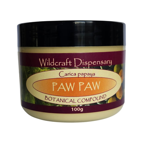 Wildcraft Dispensary Ointment Paw Paw 100g